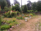 Ekowczasy-Agroturtystyka nad Bugiem - 7