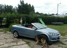 Sprzedam Opel astra Cabrio benzyna 1,6 2006 r. - 7