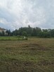 Działka przemysłowo budowlana - 2
