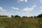 Działka rolno-budowlana Parsów gm. Bielice - 3