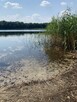 Sprzedam działki nad jeziorem - 8