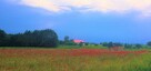 Działki Klępino - 4