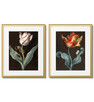 Tulipany, Plakaty Vintage w ramach - 7