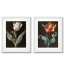 Tulipany, Plakaty Vintage w ramach - 5