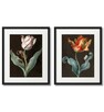 Tulipany, Plakaty Vintage w ramach - 6