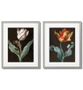 Tulipany, Plakaty Vintage w ramach - 4