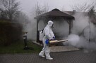 Profesjonalne Ozonowanie, Dezynfekcja, Dezynsekcja, Deratyza - 2