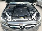 Mercedes E 450 2019, 3.0L, 4x4, po gradobiciu - 9