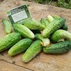 Buraki czerwone, ogórki, marchew: ekologiczne z ogródka. - 6