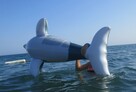 Delfin do pływania - 1