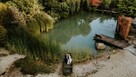 Reportaż ślubny Fotografia i DRON - 5
