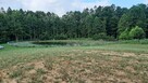 Sprzedam działkę o powierzchni4.4h w miejscowości Michnowce - 4