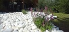 Formowanie żywopłotu, drzew i krzewów. BanGarden - 8