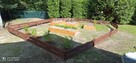 Formowanie żywopłotu, drzew i krzewów. BanGarden - 7
