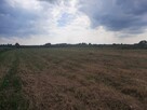 Grunty rolne - 3,42ha ( 2zł/m2 ) Wielkopolska - 5