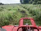 Usługi rolnicze orka bronowanie siew koszenie trawy transpot - 17