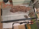 Sprzedam terrarium dla młodego gekona - 4