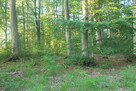 Działki rolno rekreacyjne - 8