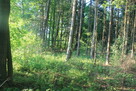 Działki rolno rekreacyjne - 7