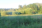 Działki rolno rekreacyjne - 5