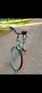 Sprzedam Rower miejski Goetze Mood pistacjowy - 5