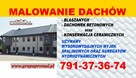 Malowanie Mycie Dachów Dachówek Betonowych Blachodachówki - 7