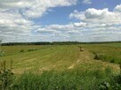 Działka do dzierżawy/sprzedazy blisko Warty. 1ha, ekologia