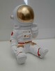 Kosmonauta taikonauta skarbonka Astronauta space kosmos - 2