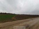 Działka Gręzówka-kolonia - 6