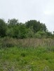 Czyszczenie działek | koszenie trawy | Rzeszów - 12
