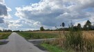 Działki Las Winiarski - 2