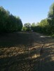 Czyszczenie działek | koszenie trawy | Rzeszów - 10