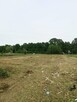 Czyszczenie działek | koszenie trawy | Rzeszów - 4