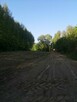 Czyszczenie działek | koszenie trawy | Rzeszów - 6