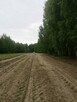 Czyszczenie działek | koszenie trawy | Rzeszów - 7