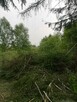 Czyszczenie działek | koszenie trawy | Rzeszów - 5