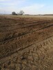Czyszczenie działek | koszenie trawy | Rzeszów - 3