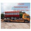 TRANSPORT MASZYN ROLNICZYCH, BUDOWLANYCH I INNYCH - 10