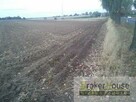 Działka inwestycyjna Jaworzno Bankowe gm. Rudniki - 10