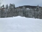 Działka rolna nad potokiem - Pewel Wielka - 3