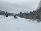 Działka rolna nad potokiem - Pewel Wielka - 4