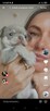 Chihuahua chłopiec niebieskooki i Liliowa suczka - 1