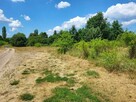 Piękna działka z możliwością zabudowy w Gostyninie - 7