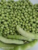 Warzywa ekonaturalne prosto z gospodarstwa ️730 450 496 - 2