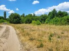 Piękna działka z możliwością zabudowy w Gostyninie - 8