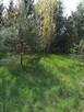 Działka Rokitnica / Ldzań - 2