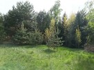 Działka Rokitnica / Ldzań - 4