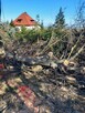 Uslugi ogrodnicze, zakładanie ogrodów koszenie traw zarosli , - 10