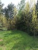 Działka Rokitnica / Ldzań - 5