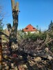 Uslugi ogrodnicze, zakładanie ogrodów koszenie traw zarosli , - 8